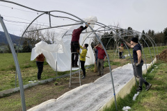 Neue Folie aufs Tunnel spannen
